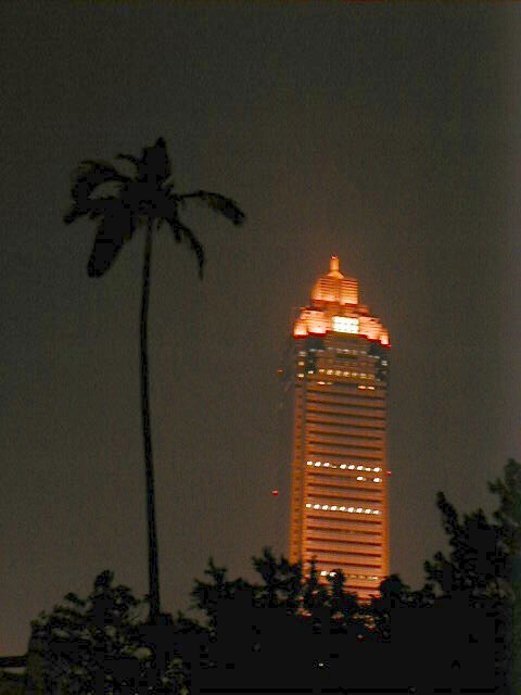 tower and palm tree.JPG, 1/3/2005, 36 kB