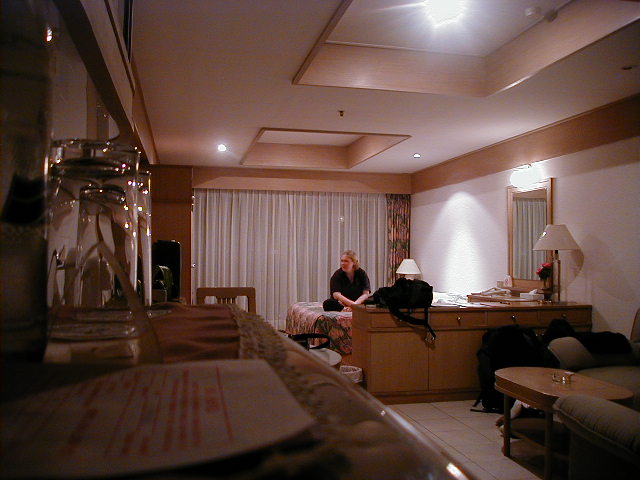 tower inn hotel room from kitchen.jpg, 61874 bytes, 4/28/2000