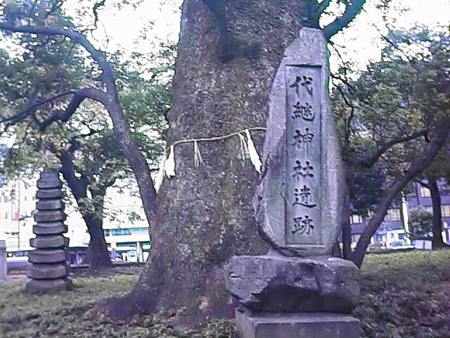 k-really old tree with stone.jpg, 94202 bytes, 10/8/1999