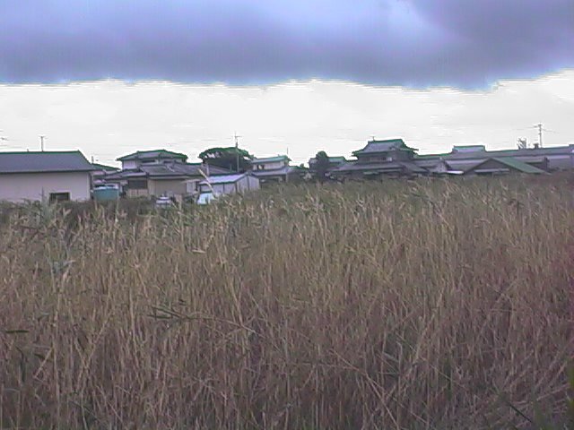 houses on the outskirts.jpg, 57365 bytes, 10/2/1999