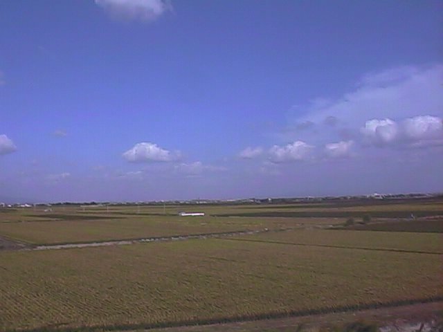 ricefields near the ariake 2.jpg, 31477 bytes, 10/3/1999