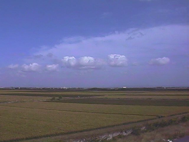 ricefields near the ariake.jpg, 30247 bytes, 10/3/1999