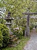 torii and lantern.JPG