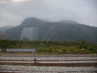 tg - view from the train 2.JPG