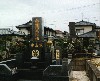 Graveyard by the house.jpg